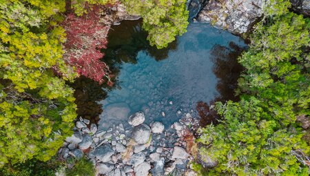 Madeira individuell - der Levada Trek