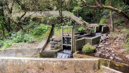 Madeira individuell - der Levada Trek