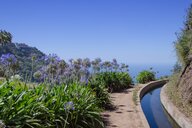 Blumenbestandene Levada auf Madeira | © shutterstock_773374258