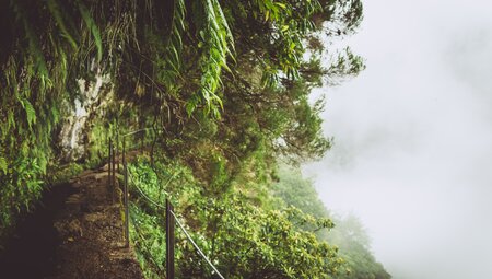 Madeira individuell - der Levada Trek