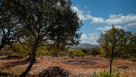 Das Hinterland in Alportel