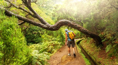 Madeira Levada Wanderer