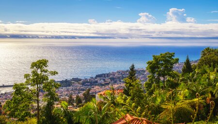 Blick auf Funchal