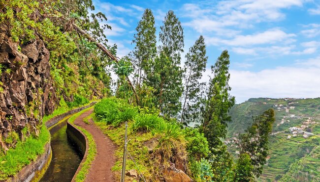 Madeira Levada