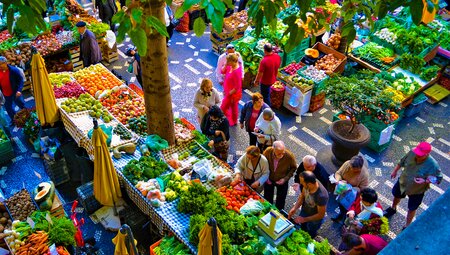 Madeira für Singles und Alleinreisende