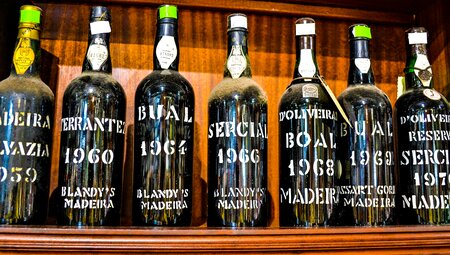 Madeira für Singles und Alleinreisende