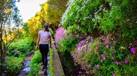 Madeira für Singles und Alleinreisende