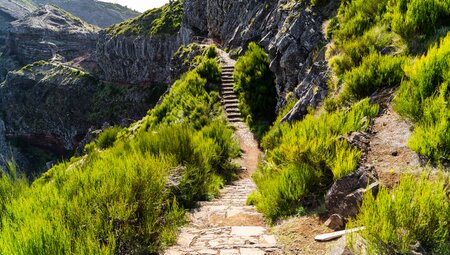 Wanderpfad in den Picos mit Steintreppen