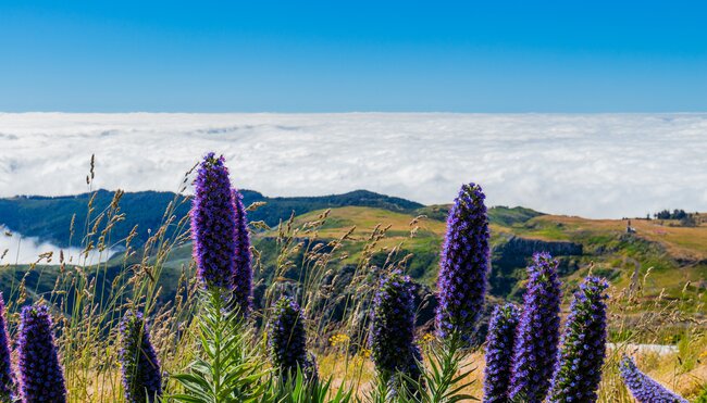 Madeira komfortabel erwandern