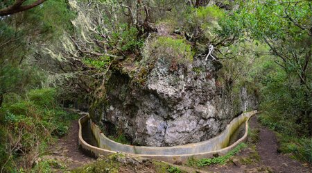 Levada auf Madeira 