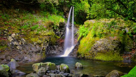 Madeira auf unbekannten Pfaden erwandern