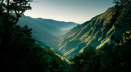 Madeira auf unbekannten Pfaden erwandern