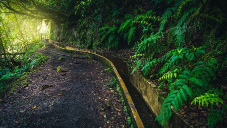 Madeiras Highlights erwandern