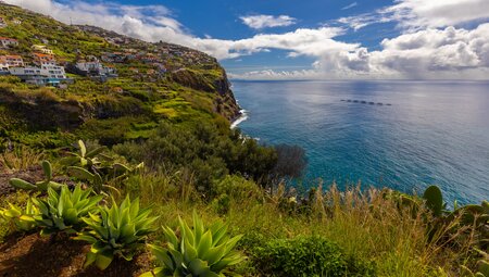 Madeira - komfortabel ins neue Jahr wandern
