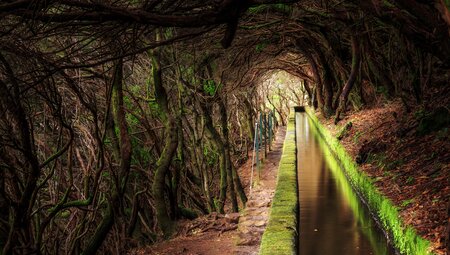 Madeiras Highlights erwandern