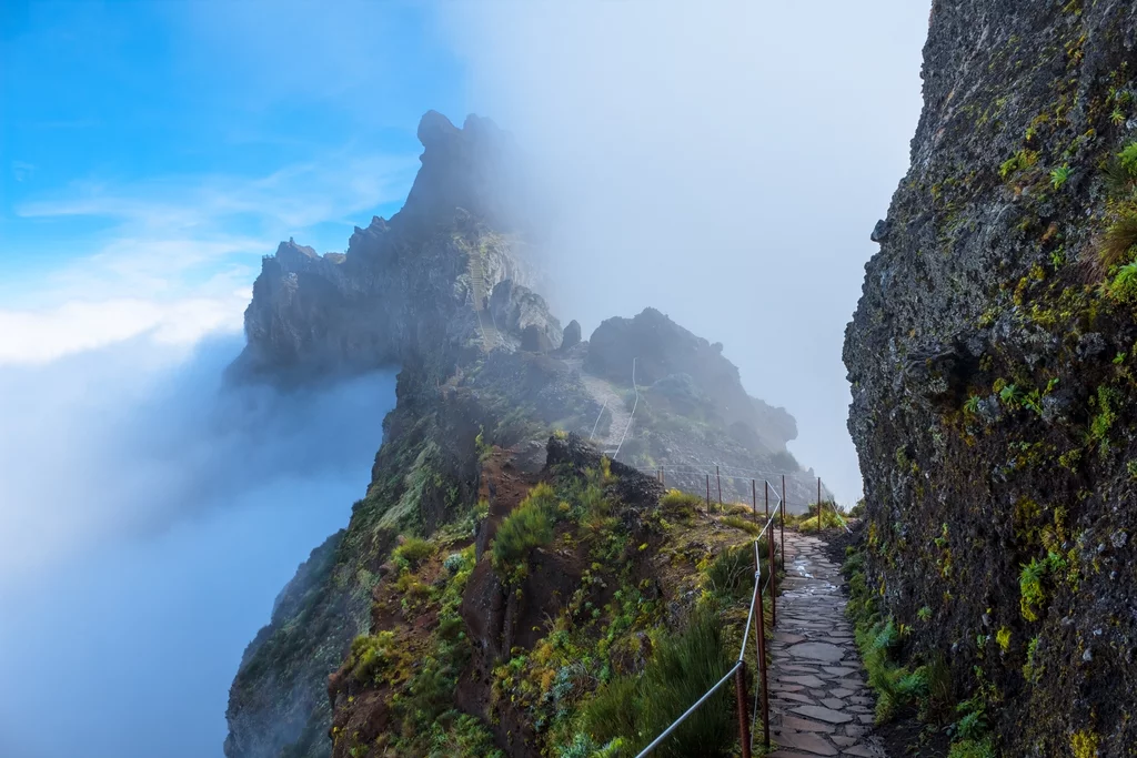 Madeiras Highlights erwandern