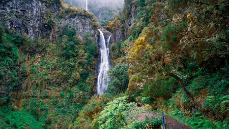 Madeiras Highlights erwandern