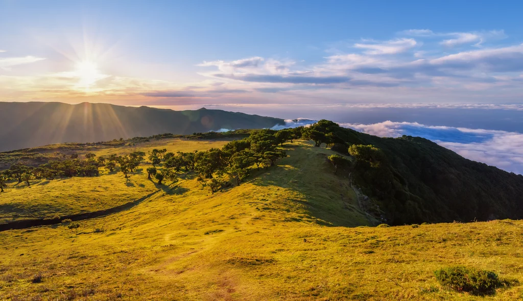Madeira gemütlich erwandern