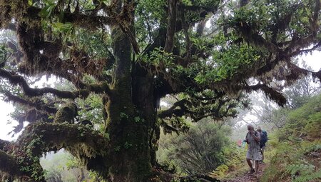 Madeira gemütlich erwandern
