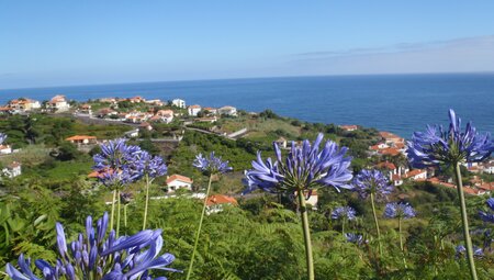 Madeira gemütlich erwandern