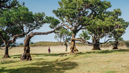 Madeira gemütlich erwandern