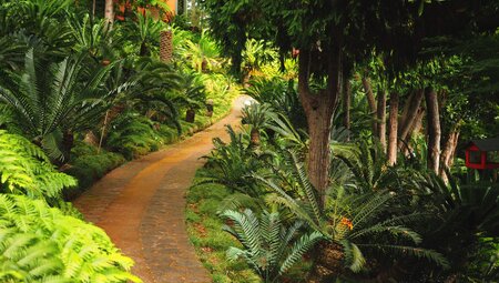 Madeira - komfortabel ins neue Jahr wandern