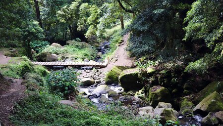 Azoren - Sao Miguel für Singles und Alleinreisende