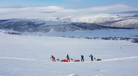 Schneeschuhtour Abisko - Vakkotavare