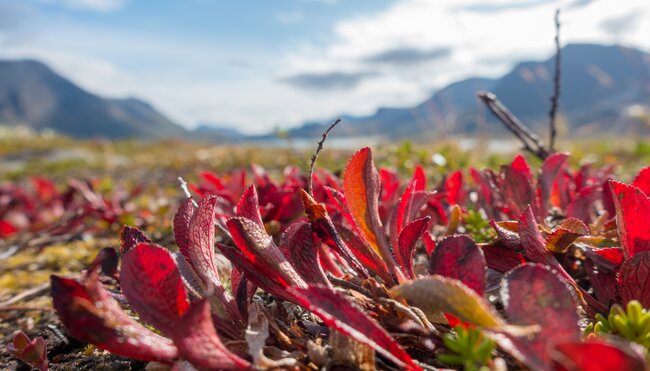 Herbstfarben