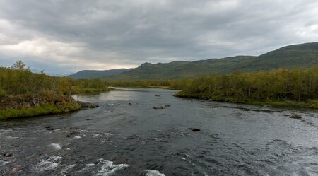 Flusslandschaft