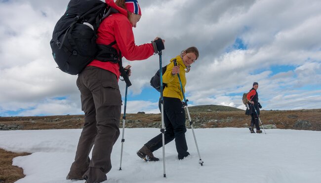 Trekking in die Wildnis Lapplands - Sarek-Nationalpark, Europas letzte Wildnis mit Zelt