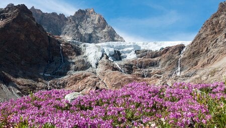 Die Haute Route im Sommer: Hochgebirgstrekking Chamonix - Zermatt