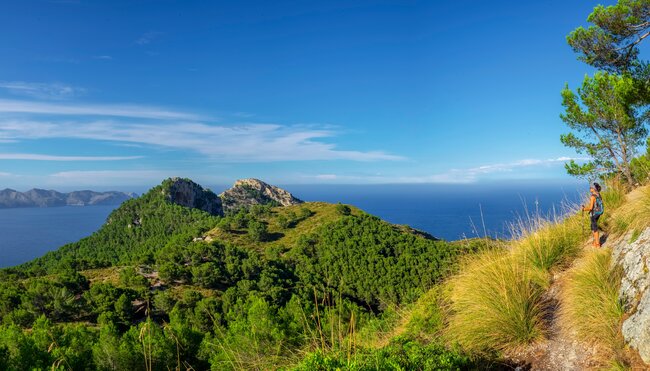 Von Finca zu Finca wandern