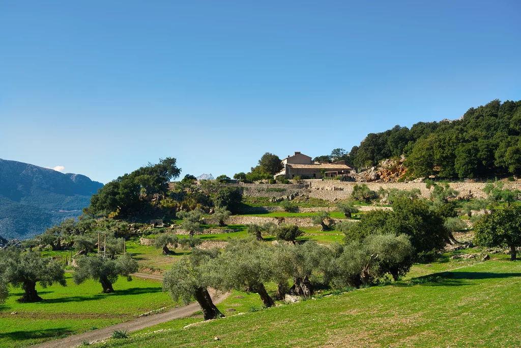 Von Finca zu Finca wandern