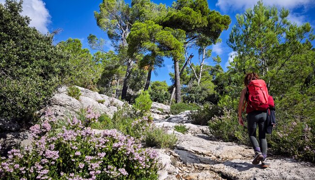 Der klassische GR 221 - die Gesamtstrecke von Küste zu Küste