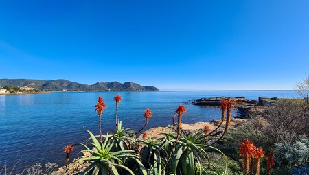 Blick auf die Bucht von Pollenca
