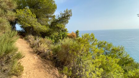 Andalusiens Highlights erwandern