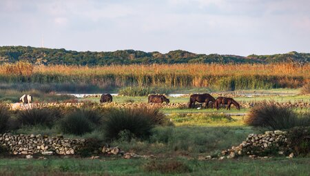 Menorcas Highlights erwandern