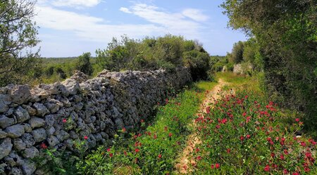 Menorca - Wandern für Kerle