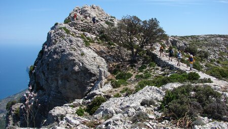 Mallorcas Highlights der Tramuntana erwandern