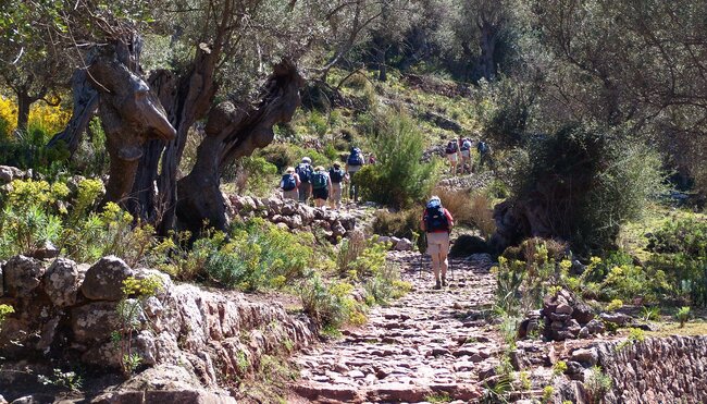 Mallorca gemütlich erwandern