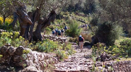 Steinstufen Mallorca Wanderer