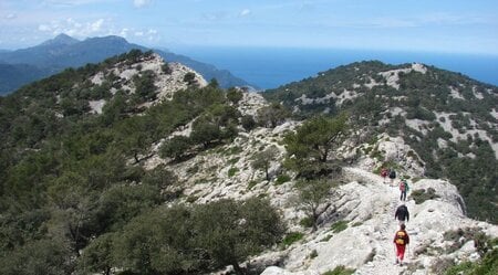 Mallorca Berglandschaft