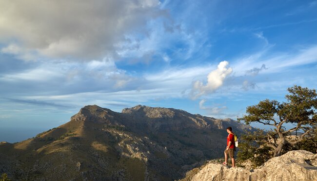 Mallorcas schönste Gipfel und Küsten erwandern