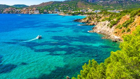 Silvester in Palma de Mallorca