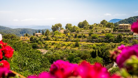 Silvester in Palma de Mallorca