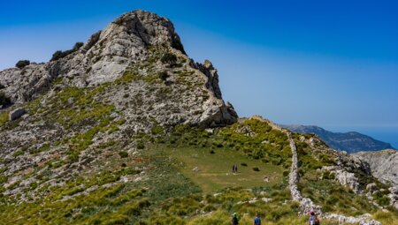 Mallorca für Singles und Alleinreisende