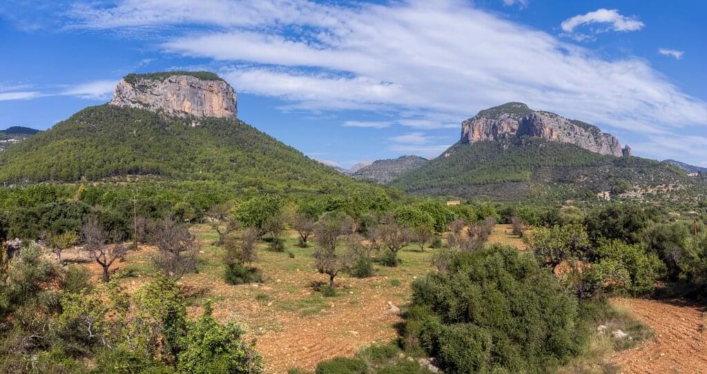 Jahreswechsel auf dem ländlichen Mallorca