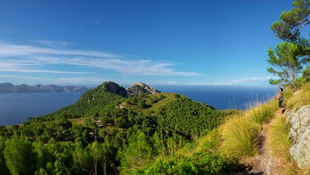 Jahreswechsel auf dem ländlichen Mallorca