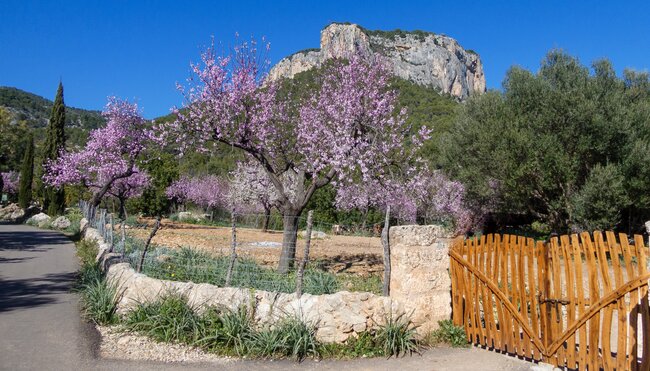 Mallorca